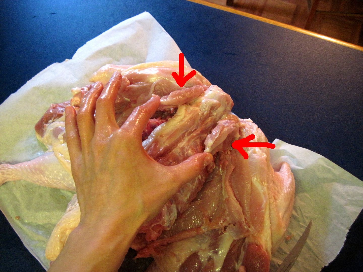 A New Kind of Thanksgiving Turkey
